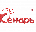 Кенарь